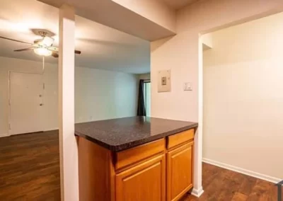 Professional Cleaning Services