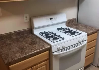Professional Cleaning Services