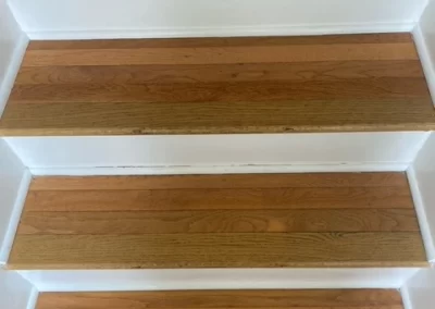 Professional Cleaning Services
