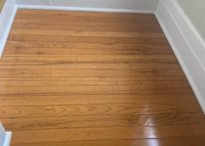 Professional Cleaning Services