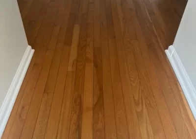 Professional Cleaning Services