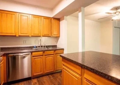 Professional Cleaning Services