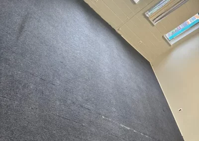 Professional Cleaning Specialists