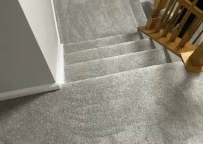 Professional Cleaning Specialists