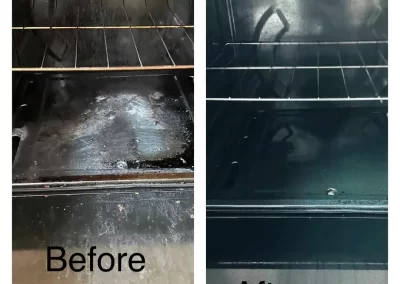 Professional House Cleaning