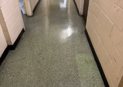 Professional House Cleaning