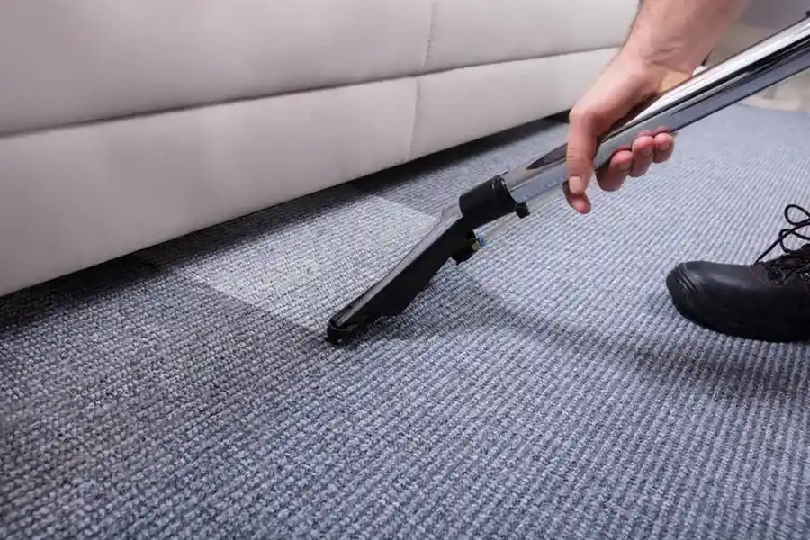 How Carpet Cleaning Helps Eliminate Deep-seated Stains North Englewood, MD